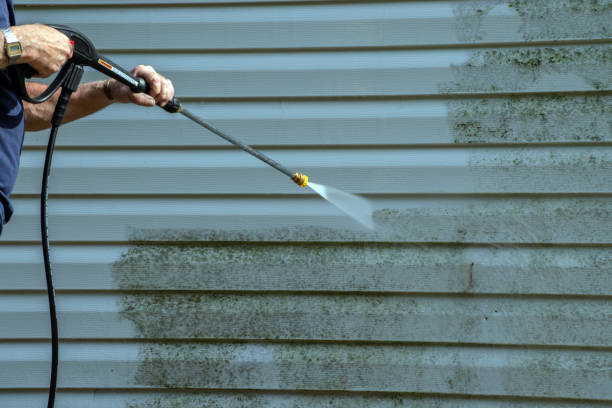 Trusted Gladwin, MI Pressure Washing Services Experts